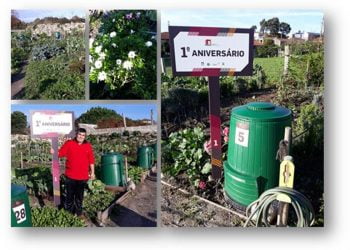 Horta Comunitária de Fundo de Vila: Agricultura Biológica a “um passo” da Cidade