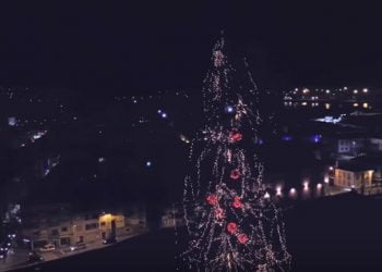 Viana abdica da maior árvore de Natal natural da Europa por motivos ambientais