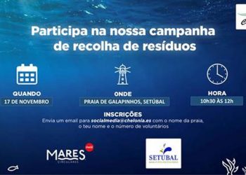 Mares Circulares realiza ação de limpeza e sensibilização na Praia de Galapinhos