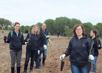 Voluntários da Corticeira Amorim plantam 2000 sobreiros em Ponte de Sor