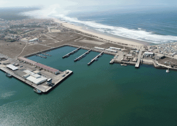 “A pesca por um mar sem lixo” arranca na Figueira da Foz