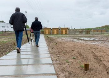 TOSCCA alia-se à Câmara Municipal de Lisboa na aposta em hortas urbanas