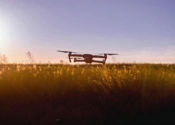 Estudo destaca elevada segurança na proteção das plantas