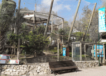 Ano novo, casa nova para os Lórios do Jardim Zoológico