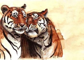 O amor chega ao Jardim Zoológico no Dia dos Namorados