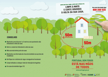 Município de Olhão lembra que limpeza de terrenos rurais é obrigatória até 15 de março