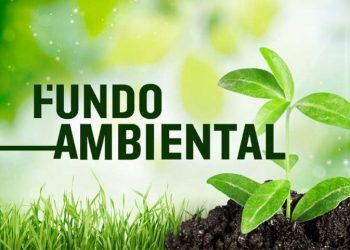 Loulé organiza workshop sobre adaptação dos espaços verdes urbanos às alterações climáticas