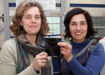 CICECO desenvolve novo material biodegradável para conservar alimentos