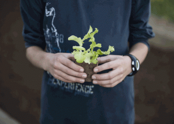 Telheiras: bairro pioneiro na sustentabilidade