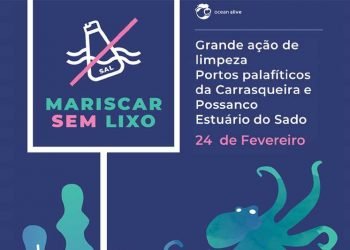 Mariscar SEM Lixo realiza ação de limpeza nos portos Palafíticos da Carrasqueira e do Possanco