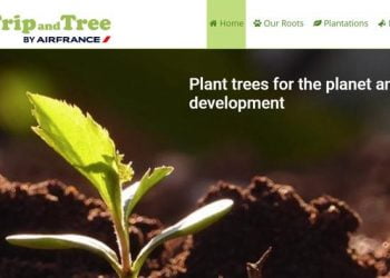 Apoie a plantação de árvores ao viajar com a Air France