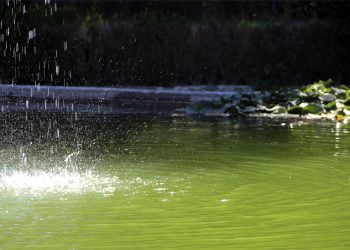Coimbra debate águas subterrâneas nos dias 7 e 8 de março