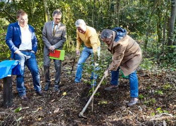 Fernando Mendes festeja aniversário com plantação de árvore no Bussaco