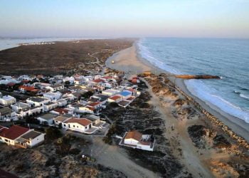 Ria Formosa participa em concurso internacional para combater problema do plástico e salvar os cavalos marinhos