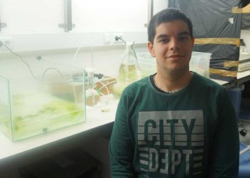 Estudo conclui que o Sargaço tem elevado potencial antifúngico para uso agrícola