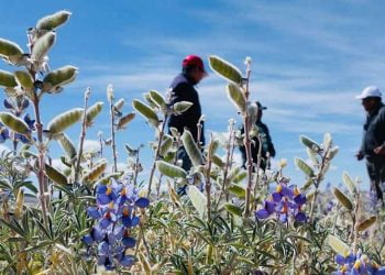 L’Oréal reforça o seu desenvolvimento sustentável