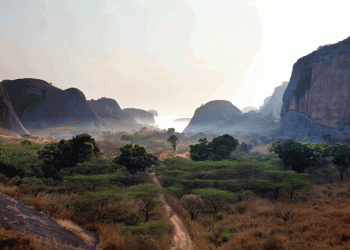 Cátedra UNESCO dedicada à proteção ambiental em África lançada amanhã no Porto