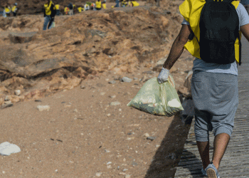 SEA LIFE Porto organiza primeira ação de Plogging