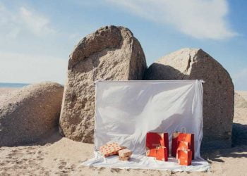 Zippy elimina 1,7 milhões de sacos de plástico por ano em Portugal