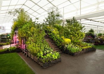 Cortiça no jardim do futuro projetado por Tom Dixon