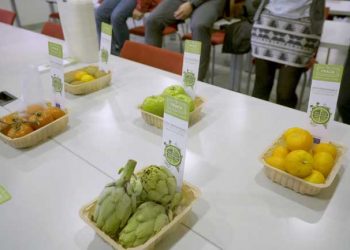 Continente participa no desenvolvimento de plástico que se degrada naturalmente em 3 meses