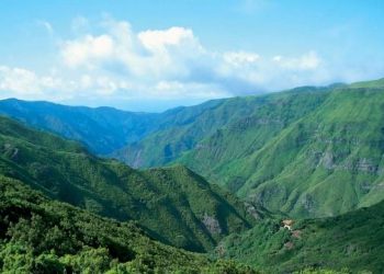Madeira reconhece “problemas” na floresta laurissilva, mas está “confortável” na gestão