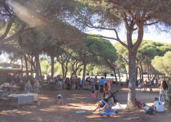 Ecofest 2019 leva milhares ao Parque Natural da Ria Formosa