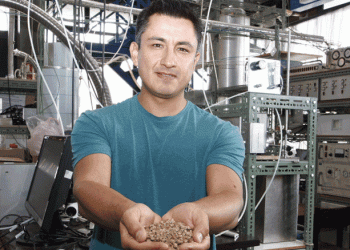 Startup de doutorando da UA premiada por nova tecnologia para aproveitamento de biomassa