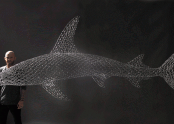 Oceanário de Lisboa apresenta exposição permanente com animais marinhos em tamanho real