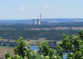 ZERO defende final faseado das centrais a carvão de Sines e Pego até 2023
