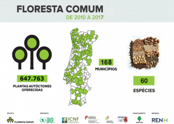 165.740 plantas florestais autóctones para a próxima época 2019/2020