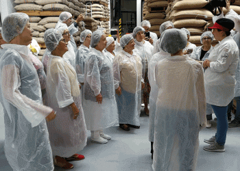 KAFFA apresenta primeiros produtos reciclados produzidos pela A Avó veio Trabalhar