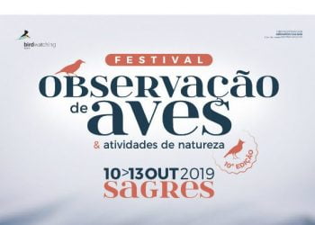 Festival de Observação de Aves & Atividades de Natureza está de regresso em outubro
