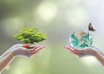 Stay Hotels substitui garrafas de plástico por água embalada em cartão