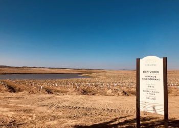 Governo elogia investimento de 50 milhões de euros em produção de amêndoa