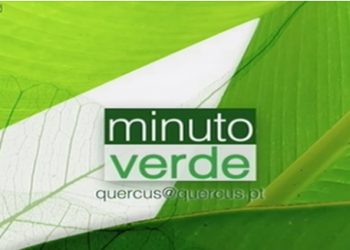 Rubrica ambiental “Minuto Verde” na RTP1 tem imagem renovada