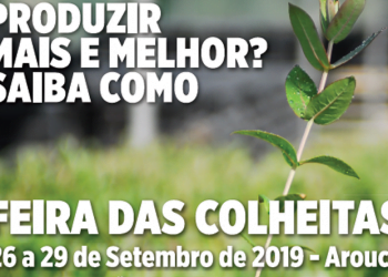 Navigator e produtores florestais demonstram como produzir mais e melhor na Feira das Colheiras