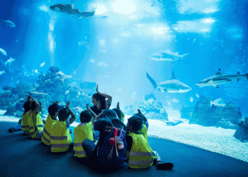 Oceanário de Lisboa é patrocinador oficial da Conferência Internacional de Educadores Marinhos