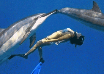 Primeira edição do Ocean Talks decorre nos Açores e vai reunir seis especialistas mundiais