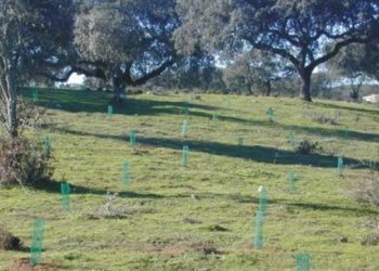 Coligação C6: Governo não cumpre obrigações em Zonas de Proteção Especial da Rede Natura 2000