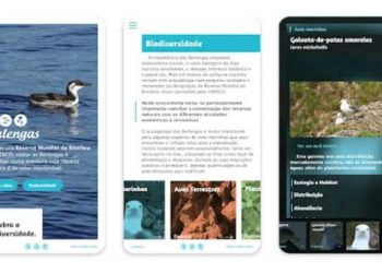 App Life Berlengas permite visita virtual à reserva natural