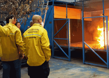 FCTUC participa em projeto europeu que pretende melhorar a resiliência das florestas a incêndios