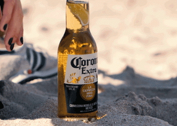 Sustentabilidade e proteção dos oceanos em destaque no Meo Rip Curl Pro Portugal