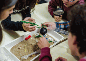 Oceanário leva Plasticologia Marinha às ruas de Lisboa