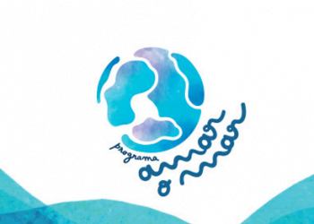 Pingo Doce e Liga para a Proteção da Natureza recolhem 2,6 toneladas de lixo das praias