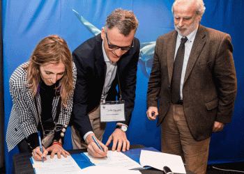 Fundação Oceano Azul apoia “Programa Oceanos” da ANP|WWF Portugal