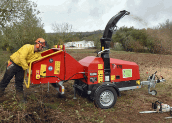 Loulé investe 200 milhões de euros na prevenção dos incêndios florestais