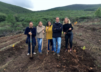 NEYA Lisboa Hotel compensa emissões de CO2 através da reflorestação