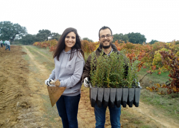 Quercus e Corticeira Amorim juntas na plantação de 2.000 sobreiros em Alcácer do Sal