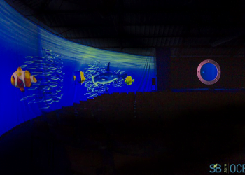 Sustainable Brands Oceans alerta que “há futuro para os oceanos mas a luta começa agora”